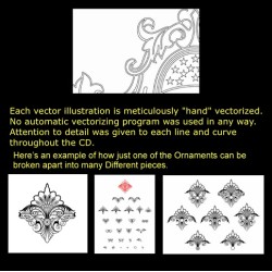 Palms Sampler Palms Sampler