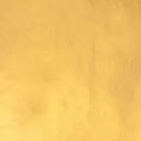 23.50kt-Dukaten-Orange-XX Gold-Leaf Loose-Book