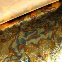 Blue Variegated Leaf-1 book