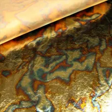 Blue Variegated Leaf - Pack