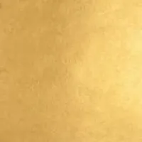 Manetti 22kt-Yellow Gold-Leaf Patent-Book