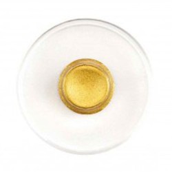 Manetti Gold-Shell-Small