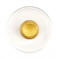 Manetti Gold-Shell-Small