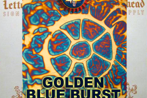 Blueburst Variegated Metal Leaf
