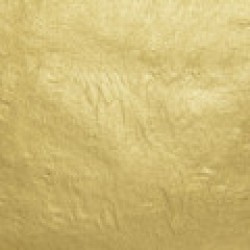 WB 18kt-Lemon-Usual Gold-Leaf Surface-Pack