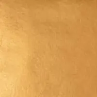 WB 22kt-Deep-XX Gold-Leaf Surface-Book