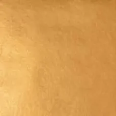 WB 22kt-Deep-XX Gold-Leaf Surface-Book