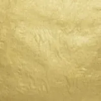 WB 18kt-Lemon-Usual Gold-Leaf Patent-Pack