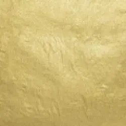WB 18kt-Lemon-Usual Gold-Leaf Patent-Pack