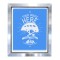 Pre-Exposed 23X31 Aluminum Frame