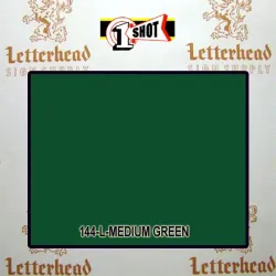 1 Shot Lettering Enamel Paint Medium Green 144L - 1/2 Pint 1 Shot Lettering Enamel Paint Medium Green 144L - 1/2 Pint