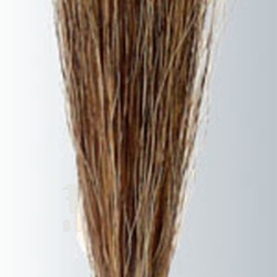 Grey Squirrel Hair Round Liner (Grey-Liner Squirrel Round) Series-2010 Size 1
