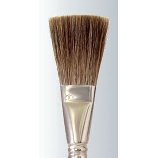 Grey Squirrel Stroke (Grey-Letter Squirrel Stroke) Series-2060 Size 1