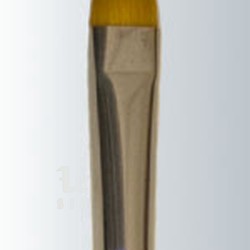 Golden Taklon Moon Filbert - Champagne Handle Series-435 Size 1
