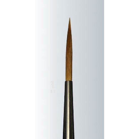 Golden Taklon Scroller Series-480 Size 2
