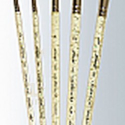 Scharff Champagne Beginner's Set