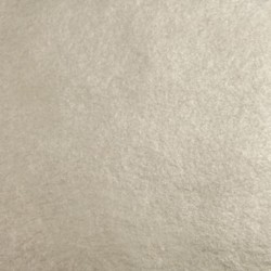 12K White Gold Dbl (Loose) 28g - 3-1/8" *Ltd. Book - Wehrung & Billmeier