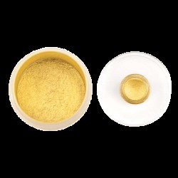Shell Gold - 23.75K (Medium - 1.1 grams) - Giusto Manetti
